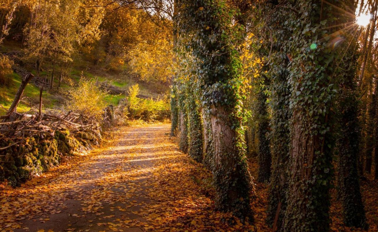 Apartmán La Casita Del Olivo Hervás Exteriér fotografie